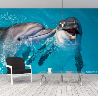 Picture of Group of cute smart dolphins in the ocean